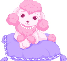 Pink Poodle Party
