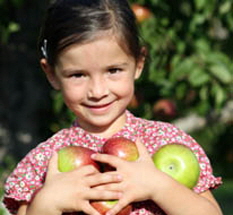 Apple Picking Party