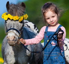 Pony Party