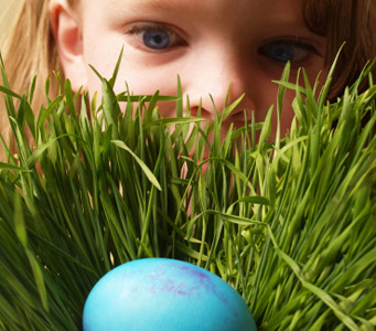Easter Egg Hunt Easter Egg Hunt