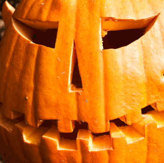 Halloween Pumpkin Jack-O-Lantern Halloween Pumpkin Jack-O-Lantern